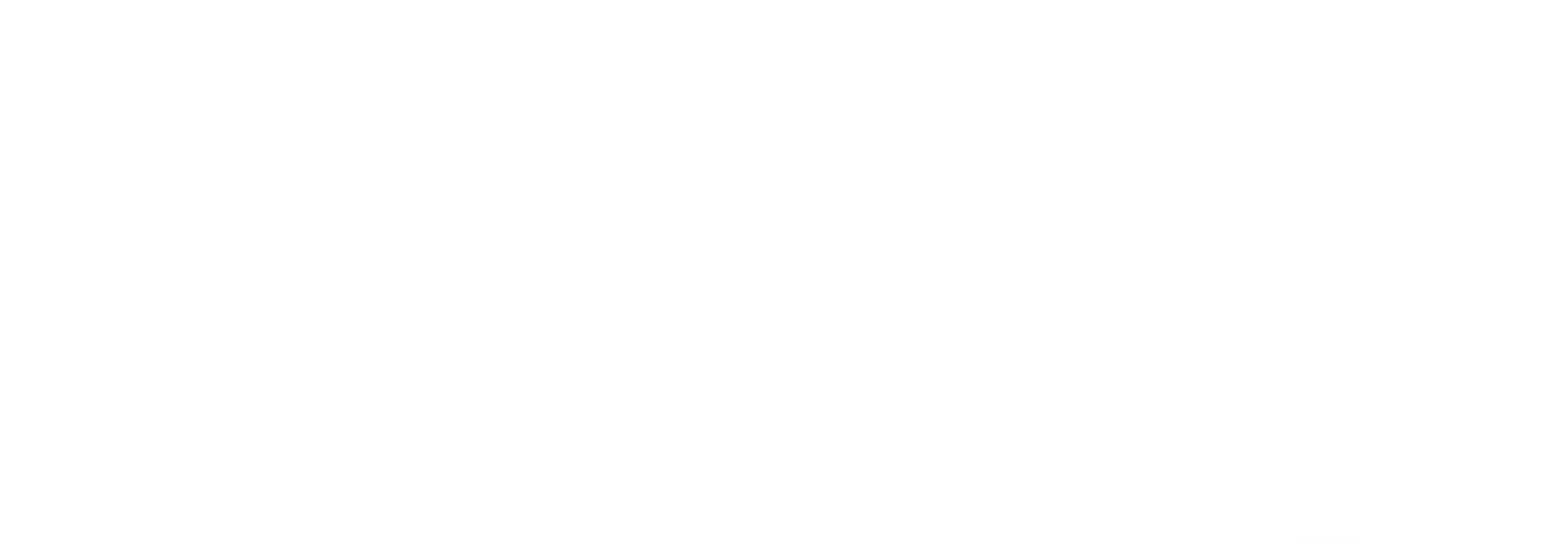 Cancun accesible Logo