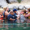 Nado con delfines