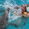 TULUM Y NADO CON DELFINES
