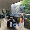 Accessible Xcaret